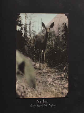 [Photo Album of Hand-Colored Landscape Photos with Many in National Parks and Forests.]