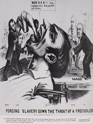 Item #8388 The Negro Experience in America