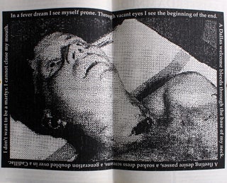 Punk Zine Zapruder headSNAP No. 10